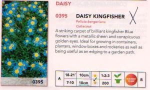 Daisy Kingfisher