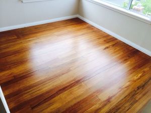 1172855_646711112044951_900230292_o