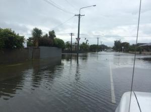 1656100_525220064264539_1822635271_n