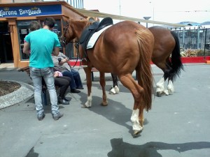 You never know who you'll meet in the mall