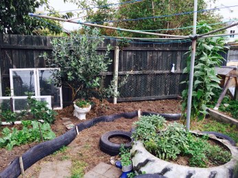 No More Squashed Seedlings