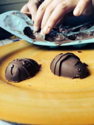 10177920_282864531888964_1135263568789863051_n