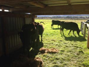 ...and with residents