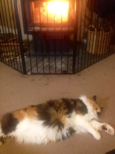 So, paper, scissors, rock for who get's to check her teeth...?