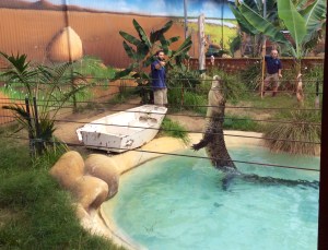 Farm Girl's iPad shutter finger captured the moment