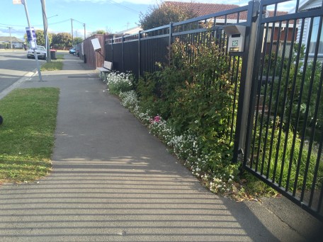 front fence