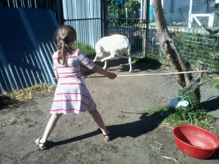 wolf wolf the boy cried