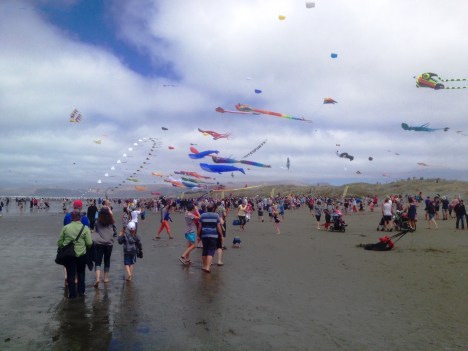 kite day 2015