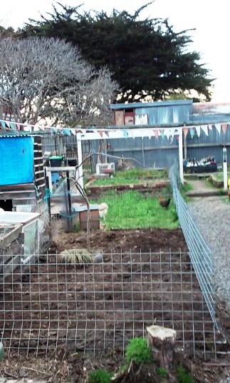 20160914_172522 (1).jpg