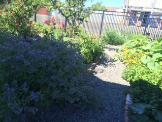 IMG_0762.jpg