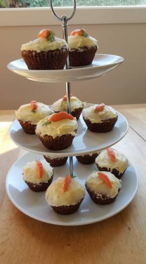 20472245_1380066942042694_362187772_n