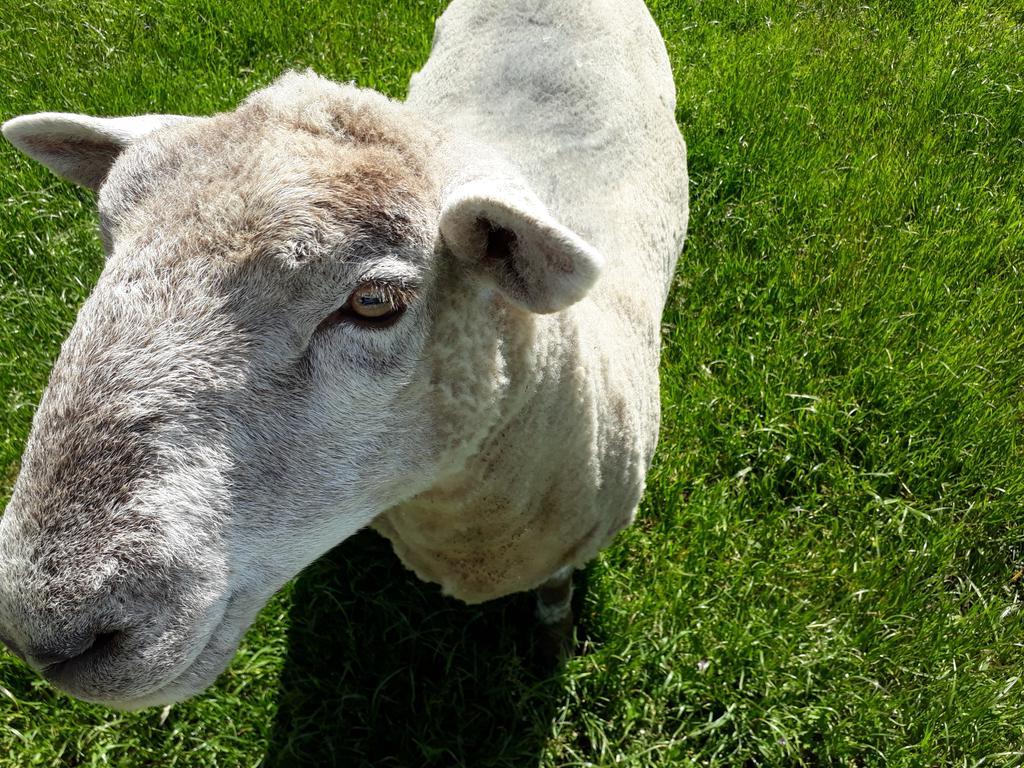 Nev is never one to pass up a photo op