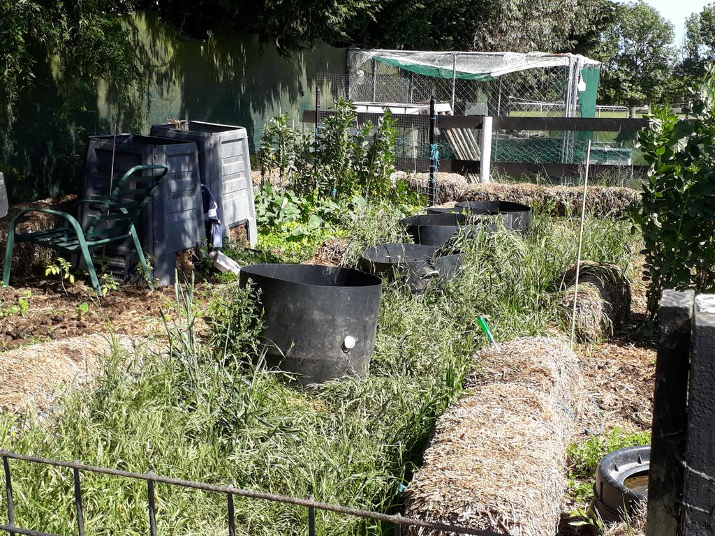 Sheep Paddock Garden
